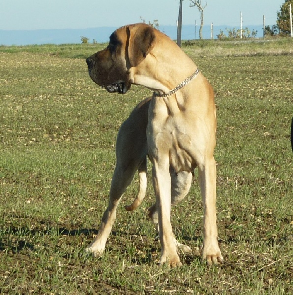 Garbo Des petites verniéres