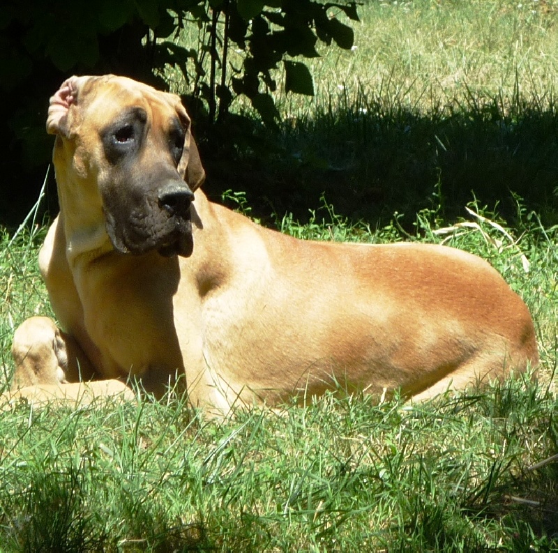 Garbo Des petites verniéres